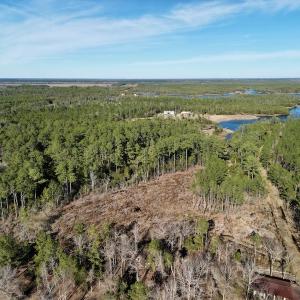 Photo #3 of SOLD property in Off Upper Neck Rd, Bayboro, NC 6.9 acres