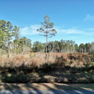 Photo #21 of SOLD property in Off Upper Neck Rd, Bayboro, NC 6.9 acres
