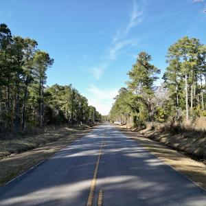Photo #22 of SOLD property in Off Upper Neck Rd, Bayboro, NC 6.9 acres