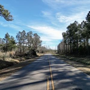 Photo #23 of SOLD property in Off Upper Neck Rd, Bayboro, NC 6.9 acres