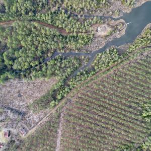 Photo #24 of SOLD property in Off Upper Neck Rd, Bayboro, NC 6.9 acres