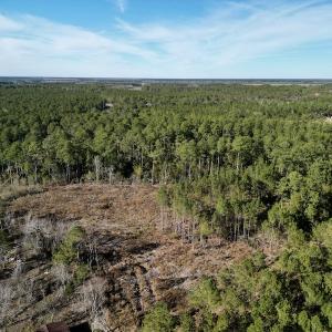 Photo #4 of SOLD property in Off Upper Neck Rd, Bayboro, NC 6.9 acres
