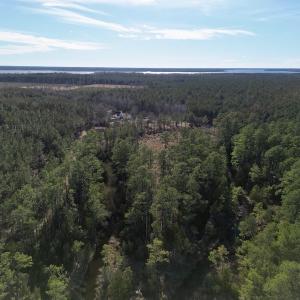 Photo #7 of SOLD property in Off Upper Neck Rd, Bayboro, NC 6.9 acres