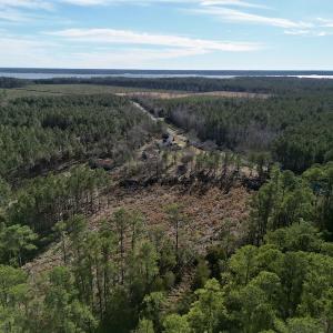 Photo #8 of SOLD property in Off Upper Neck Rd, Bayboro, NC 6.9 acres