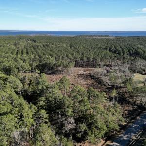 Photo #9 of SOLD property in Off Upper Neck Rd, Bayboro, NC 6.9 acres
