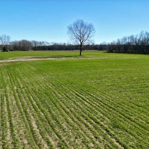 Photo #12 of SOLD property in Off NC Hwy 222, Saratoga, NC 56.1 acres