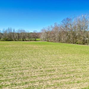 Photo #13 of SOLD property in Off NC Hwy 222, Saratoga, NC 56.1 acres