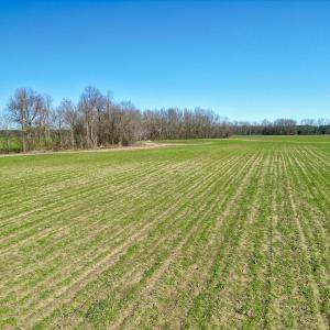 Photo #14 of SOLD property in Off NC Hwy 222, Saratoga, NC 56.1 acres