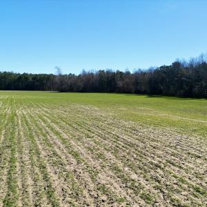 Photo #15 of SOLD property in Off NC Hwy 222, Saratoga, NC 56.1 acres
