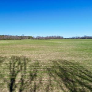 Photo #16 of SOLD property in Off NC Hwy 222, Saratoga, NC 56.1 acres