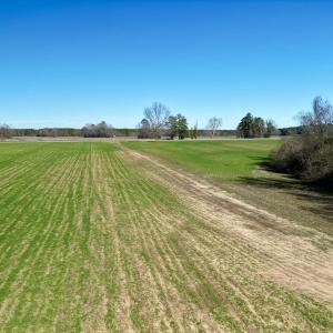 Photo #17 of SOLD property in Off NC Hwy 222, Saratoga, NC 56.1 acres