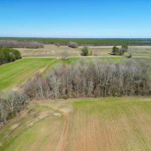 Photo #18 of SOLD property in Off NC Hwy 222, Saratoga, NC 56.1 acres