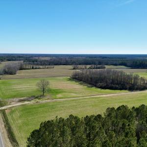 Photo #3 of SOLD property in Off NC Hwy 222, Saratoga, NC 56.1 acres