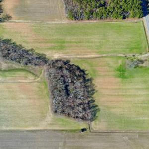 Photo #20 of SOLD property in Off NC Hwy 222, Saratoga, NC 56.1 acres