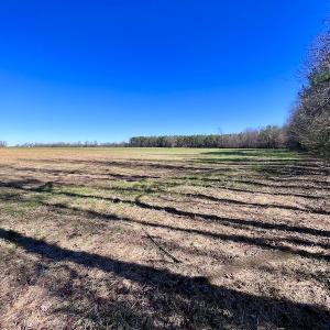 Photo #23 of SOLD property in Off NC Hwy 222, Saratoga, NC 56.1 acres