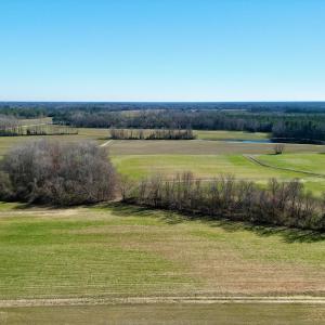 Photo #4 of SOLD property in Off NC Hwy 222, Saratoga, NC 56.1 acres