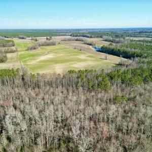 Photo #6 of SOLD property in Off NC Hwy 222, Saratoga, NC 56.1 acres