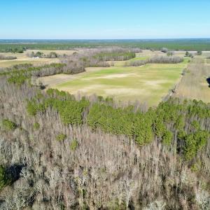 Photo #7 of SOLD property in Off NC Hwy 222, Saratoga, NC 56.1 acres