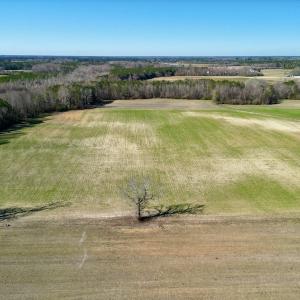 Photo #8 of SOLD property in Off NC Hwy 222, Saratoga, NC 56.1 acres