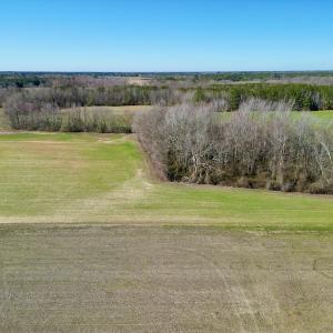 Photo #9 of SOLD property in Off NC Hwy 222, Saratoga, NC 56.1 acres