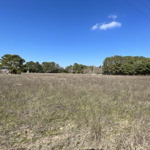Photo #10 of Off Pheasant Run Road , Exmore, VA 2.1 acres