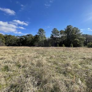 Photo #11 of Off Pheasant Run Road , Exmore, VA 2.1 acres
