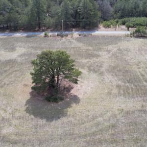 Photo #5 of Off Pheasant Run Road , Exmore, VA 2.1 acres