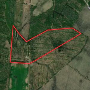 Photo #1 of Off Old Dothan Rd, Tabor City, NC 31.0 acres