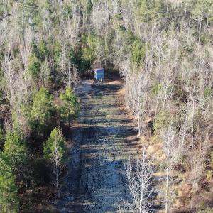 Photo #4 of Off Old Dothan Rd, Tabor City, NC 31.0 acres