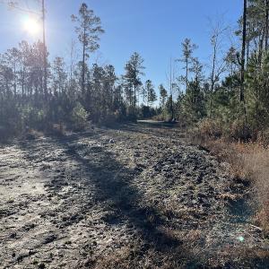 Photo #17 of Off Old Dothan Rd, Tabor City, NC 31.0 acres