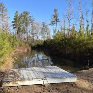 Photo #18 of Off Old Dothan Rd, Tabor City, NC 31.0 acres