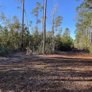 Photo #22 of Off Old Dothan Rd, Tabor City, NC 31.0 acres