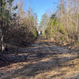 Photo #24 of Off Old Dothan Rd, Tabor City, NC 31.0 acres