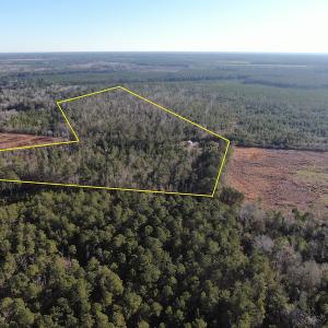 Photo #28 of Off Old Dothan Rd, Tabor City, NC 31.0 acres