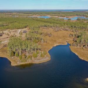 Photo #9 of SOLD property in Off Sawyer Rd, Scranton, NC 10.2 acres