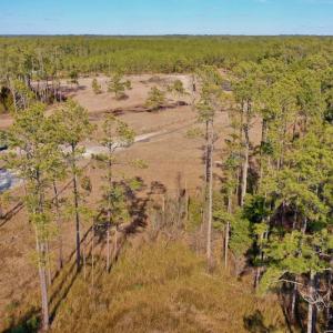 Photo #20 of SOLD property in Off Sawyer Rd, Scranton, NC 10.2 acres