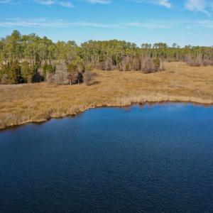 Photo #26 of SOLD property in Off Sawyer Rd, Scranton, NC 10.2 acres