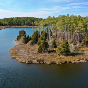 Photo #27 of SOLD property in Off Sawyer Rd, Scranton, NC 10.2 acres