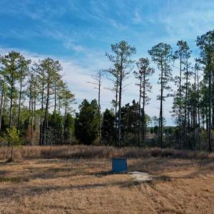 Photo #29 of SOLD property in Off Sawyer Rd, Scranton, NC 10.2 acres