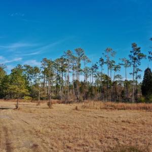 Photo #30 of SOLD property in Off Sawyer Rd, Scranton, NC 10.2 acres