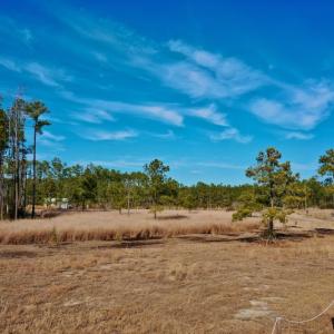 Photo #31 of SOLD property in Off Sawyer Rd, Scranton, NC 10.2 acres