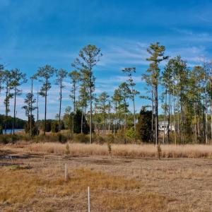 Photo #32 of SOLD property in Off Sawyer Rd, Scranton, NC 10.2 acres