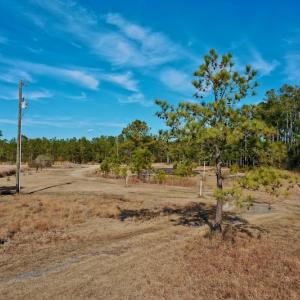 Photo #33 of SOLD property in Off Sawyer Rd, Scranton, NC 10.2 acres