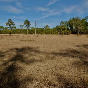 Photo #39 of SOLD property in Off Sawyer Rd, Scranton, NC 10.2 acres