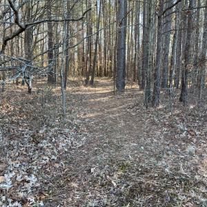 Photo #10 of SOLD property in 1520 Fiddlers Rd, Emporia, VA 85.1 acres