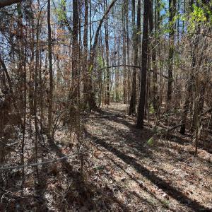 Photo #11 of SOLD property in 1520 Fiddlers Rd, Emporia, VA 85.1 acres