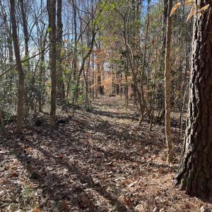 Photo #12 of SOLD property in 1520 Fiddlers Rd, Emporia, VA 85.1 acres