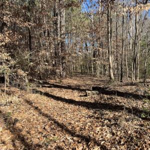 Photo #16 of SOLD property in 1520 Fiddlers Rd, Emporia, VA 85.1 acres