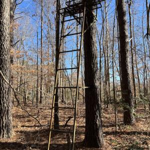 Photo #17 of SOLD property in 1520 Fiddlers Rd, Emporia, VA 85.1 acres