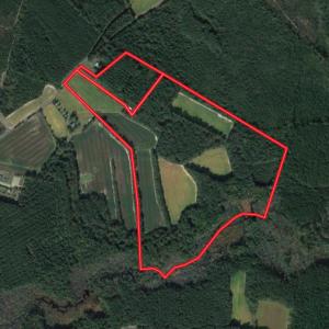 Photo #1 of SOLD property in 1520 Fiddlers Rd, Emporia, VA 85.1 acres